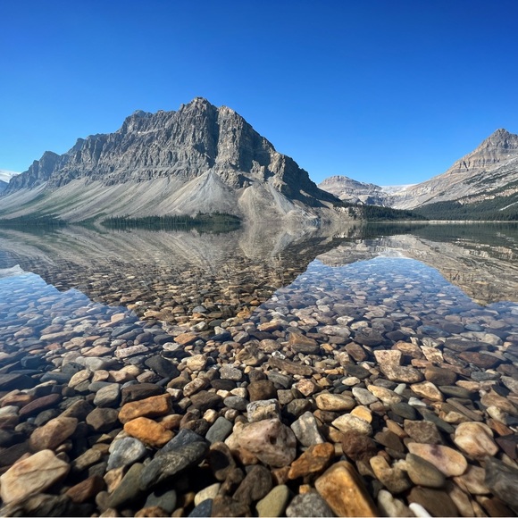 Meet your Posher, Carrie - Picture 3 of 16